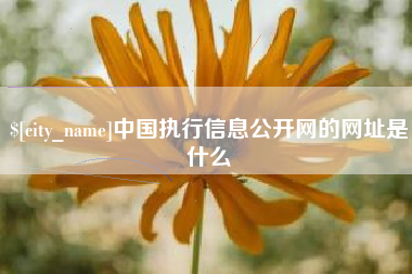 四川中国执行信息公开网的网址是什么
