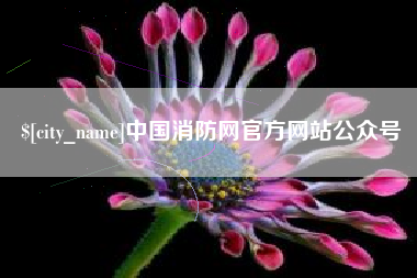 四川中国消防网官方网站公众号