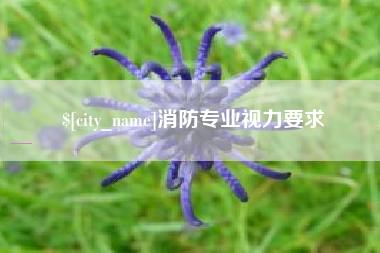 四川消防专业视力要求