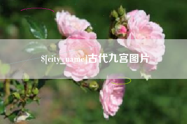 四川古代九宫图片
