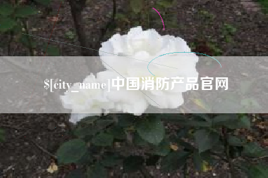 四川中国消防产品官网