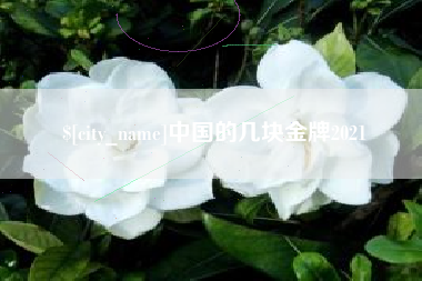 四川中国的几块金牌2021