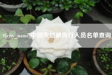 四川中国失信被执行人员名单查询