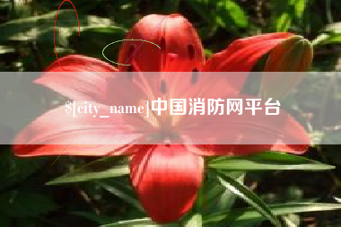 四川中国消防网平台