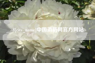 四川中国消防网官方网站