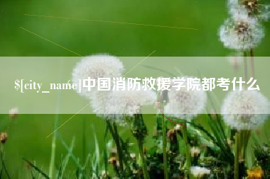 四川中国消防救援学院都考什么