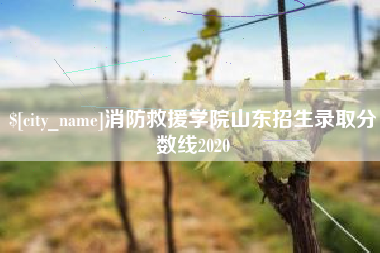 四川消防救援学院山东招生录取分数线2020