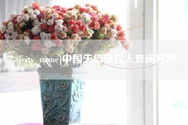 四川中国失信执行人查询官网