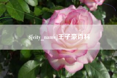四川王子豪百科