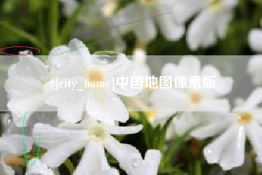 四川中国地图像素版