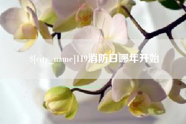 四川119消防日哪年开始