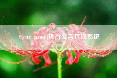 四川执行公告查询系统