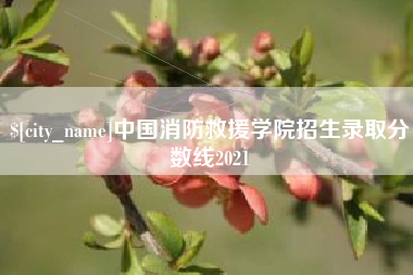 四川中国消防救援学院招生录取分数线2021