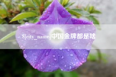 四川中国金牌都是啥