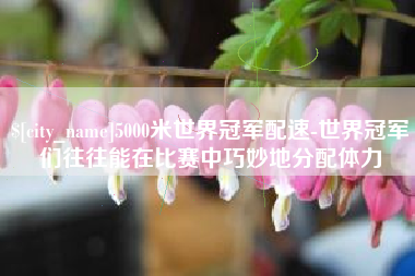 四川5000米世界冠军配速-世界冠军们往往能在比赛中巧妙地分配体力