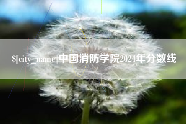 四川中国消防学院2024年分数线