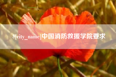 四川中国消防救援学院要求