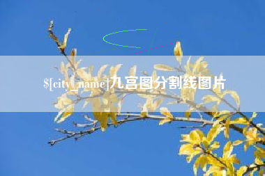 四川九宫图分割线图片