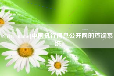 四川中国执行信息公开网的查询系统
