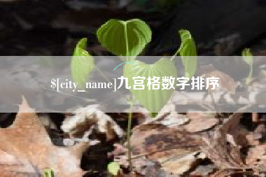 四川九宫格数字排序