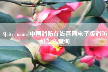 四川中国消防在线官网电子版消防证怎么查询