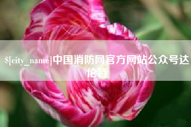 四川中国消防网官方网站公众号达伦特