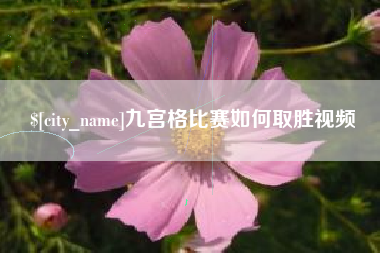 四川九宫格比赛如何取胜视频