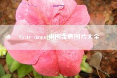 四川中国金牌图片大全