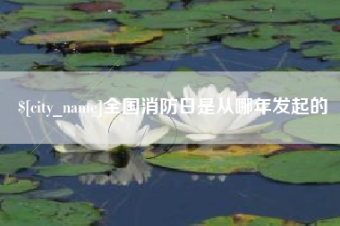 四川全国消防日是从哪年发起的