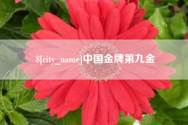 四川中国金牌第九金