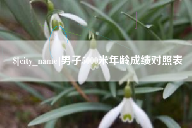 四川男子5000米年龄成绩对照表