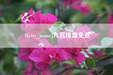 四川九宫排盘免费
