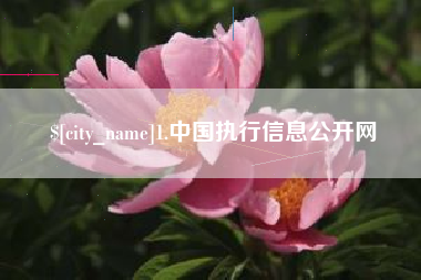 四川1.中国执行信息公开网