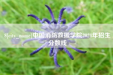 四川中国消防救援学院2024年招生分数线