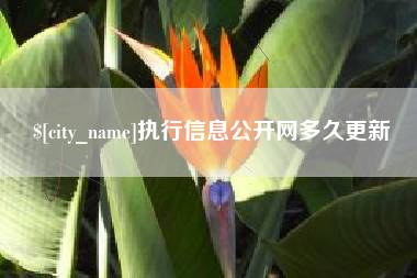 四川执行信息公开网多久更新