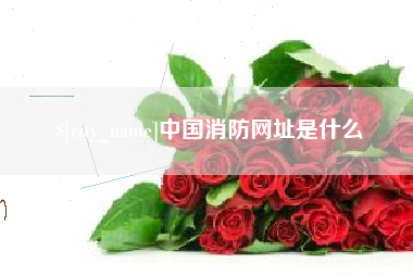 四川中国消防网址是什么