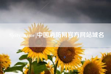 四川中国消防网官方网站域名