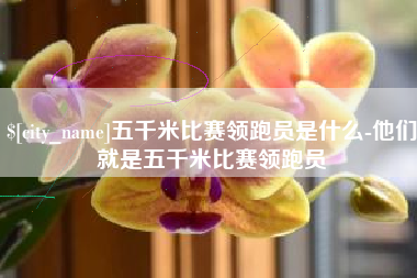 四川五千米比赛领跑员是什么-他们就是五千米比赛领跑员