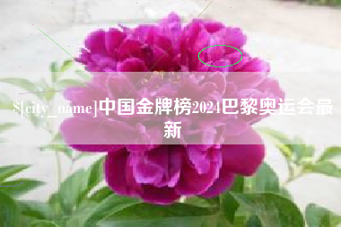 四川中国金牌榜2024巴黎奥运会最新