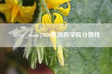 四川2020年消防学院分数线