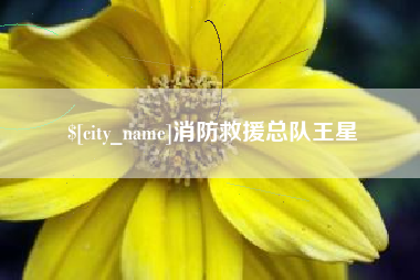 四川消防救援总队王星