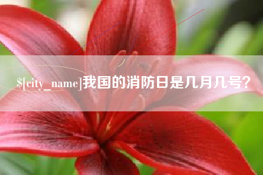 四川我国的消防日是几月几号？