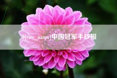 四川中国冠军手抄报