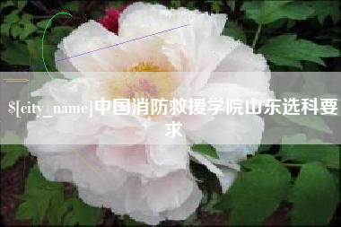 四川中国消防救援学院山东选科要求