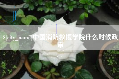 四川中国消防救援学院什么时候政审