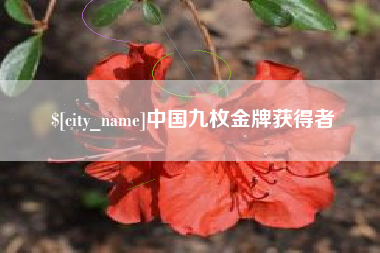 四川中国九枚金牌获得者