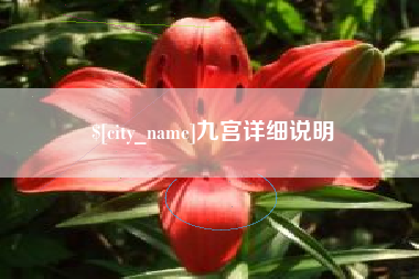 四川九宫详细说明