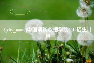 四川中国消防救援学院2019招生计划