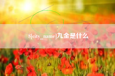 四川九金是什么