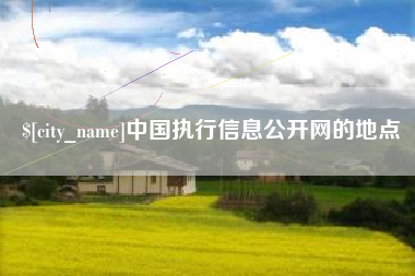 四川中国执行信息公开网的地点